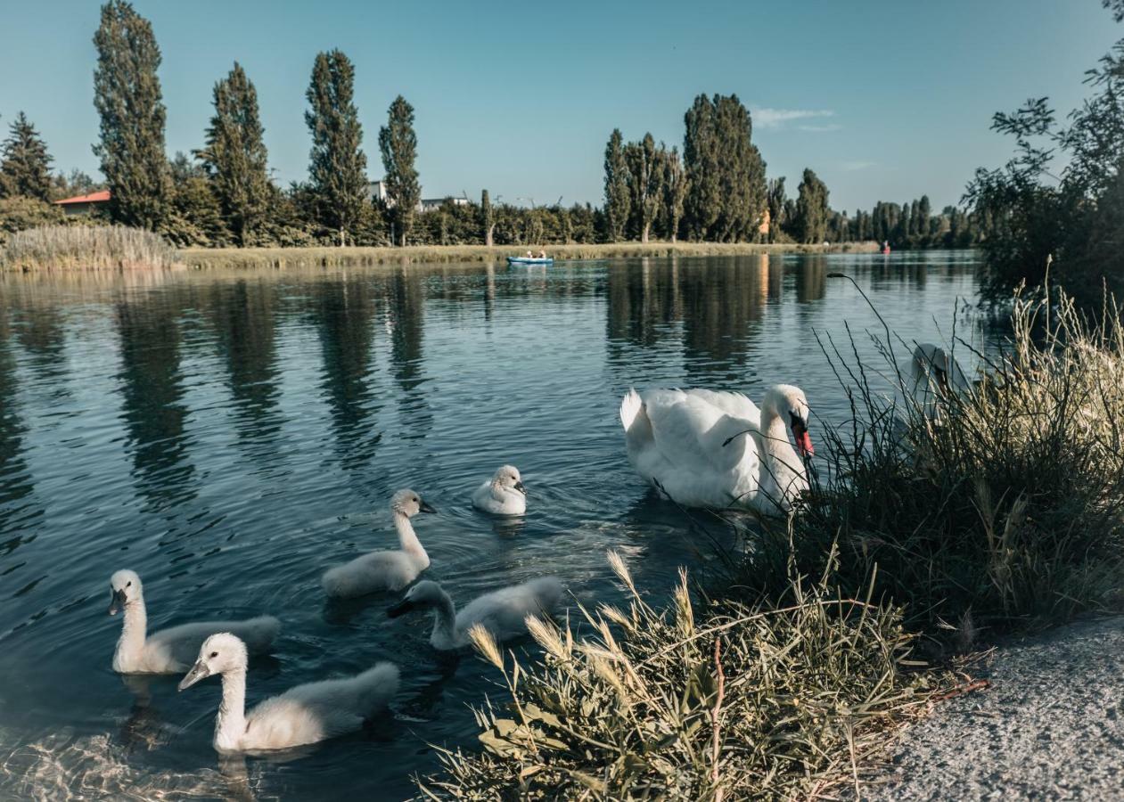La Forgia Apartment Peschiera del Garda Exteriér fotografie